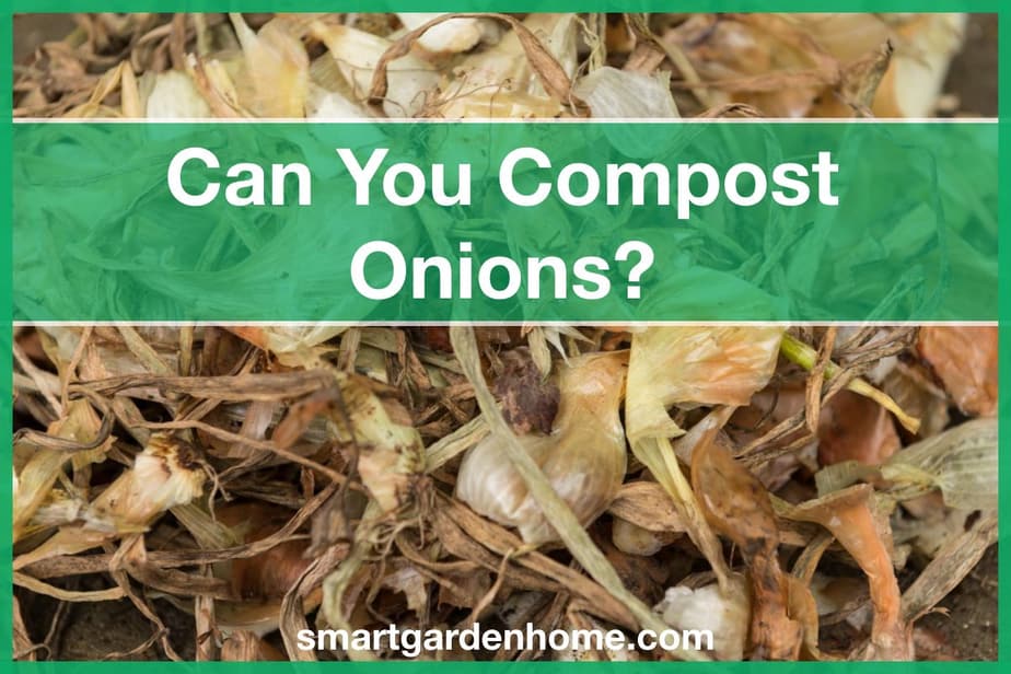 Can You Compost Onions?