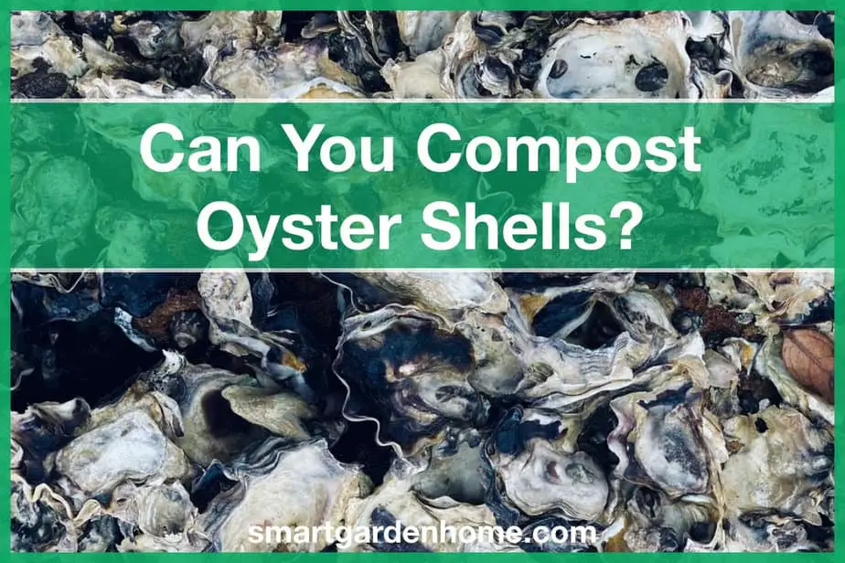 Can You Compost Oyster Shells?