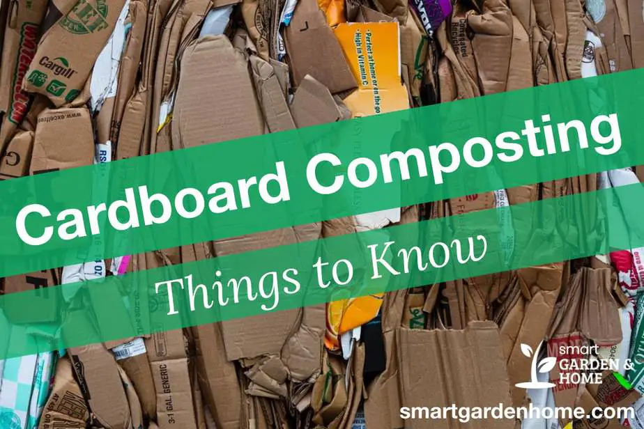 Cardboard Composting: Everything You Should Know