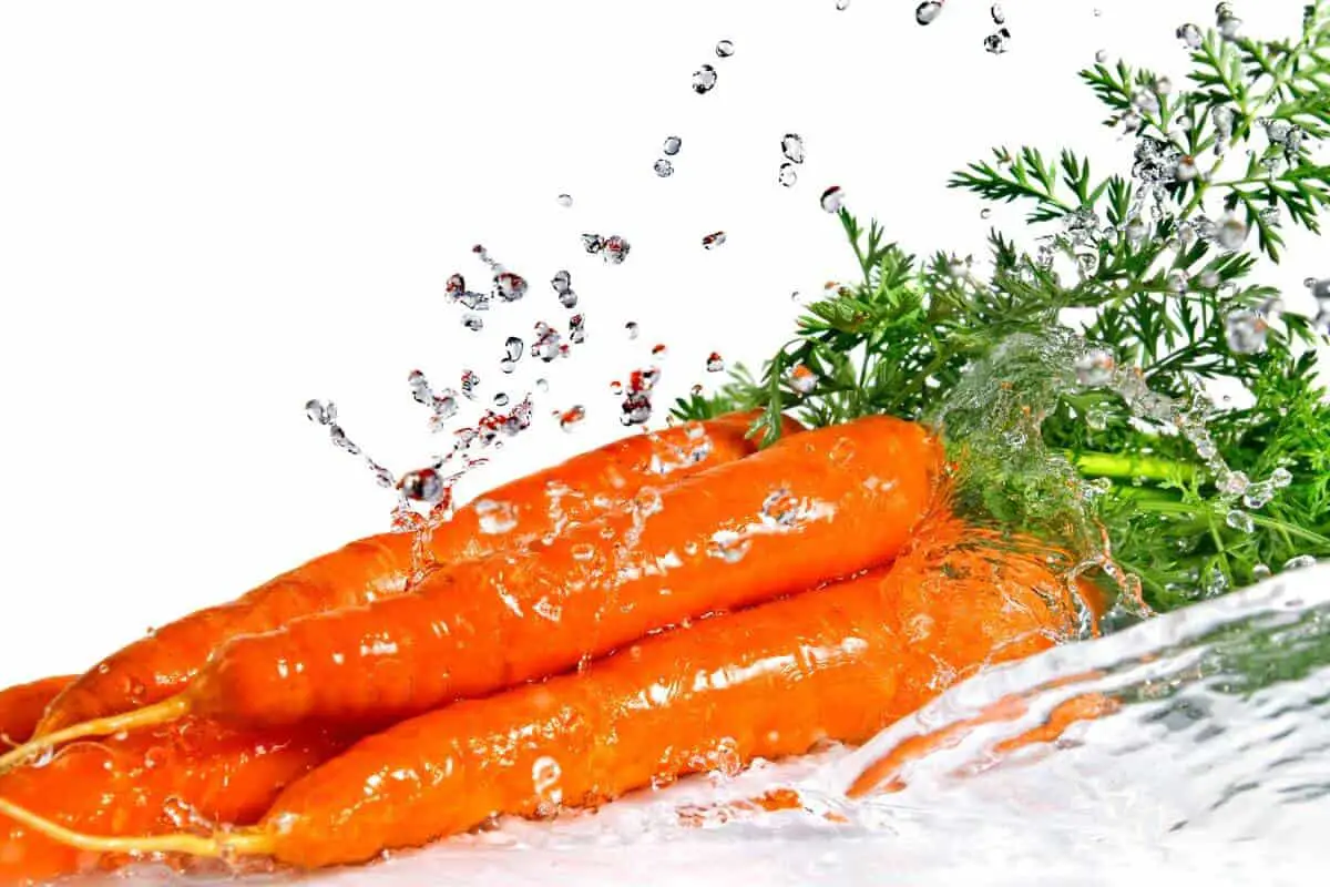 Carrots with Water Solution
