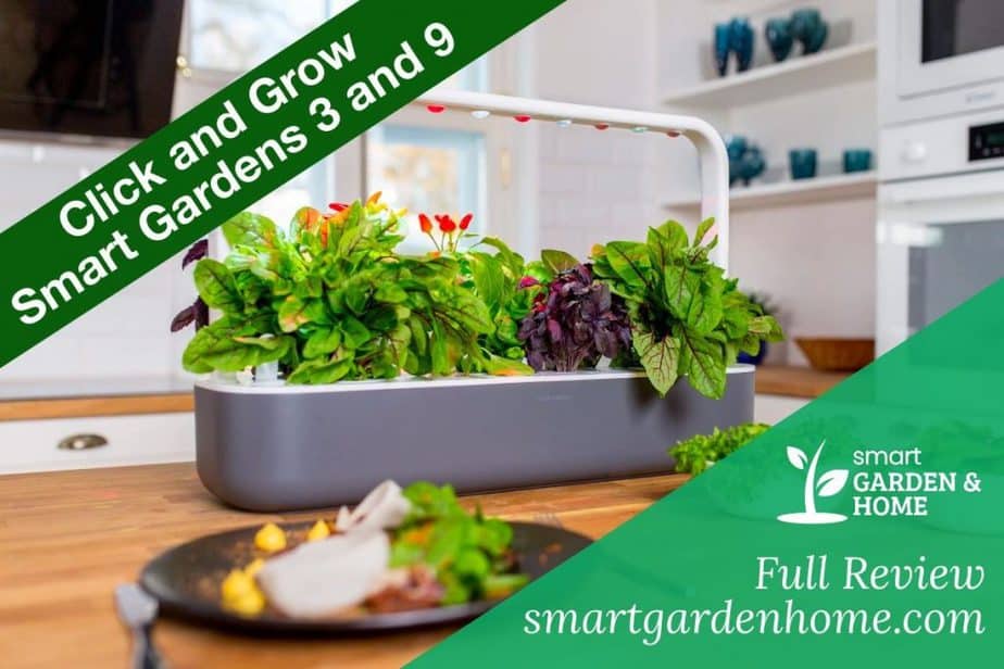 Click And Grow Review: Smart Garden 3 And 9, Pro | Smart Garden & Home