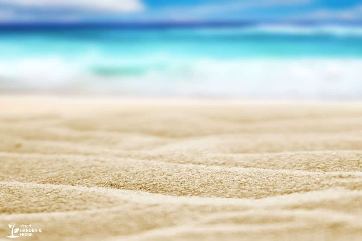 Close up View of Sand