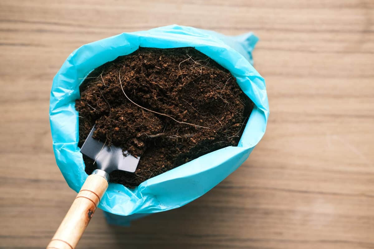 Coco Coir vs Coco Peat