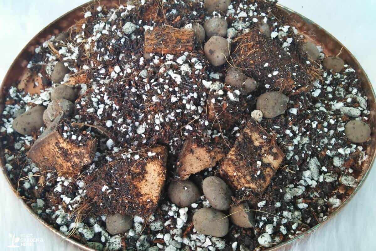 A close-up view of a round container filled with a mixture of soil, perlite, and coco coir.