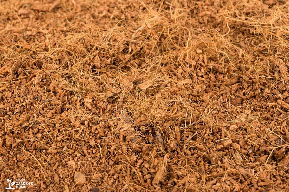 A close-up view of hydroponics coco peat fiber and granules, commonly used as a gardening medium.