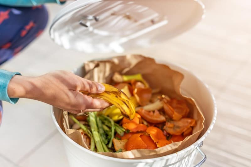 Kitchen Compost Bin