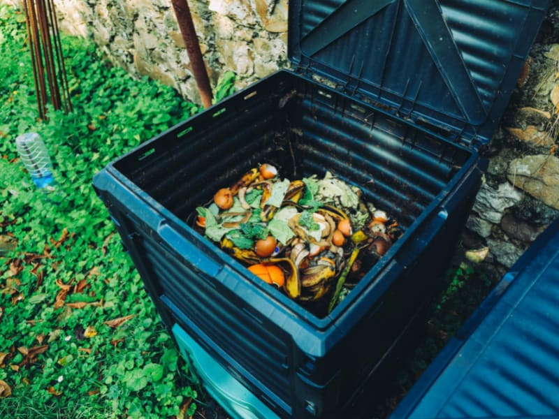 Outdoor Compost Bin