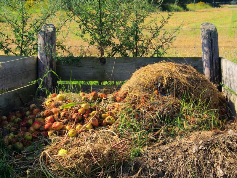 Outdoor Compost Pile with Food Scraps