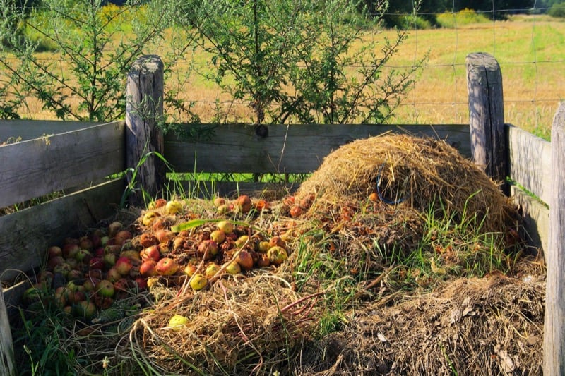 Outdoor Compost Pile