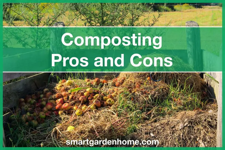 Compost Pros and Cons