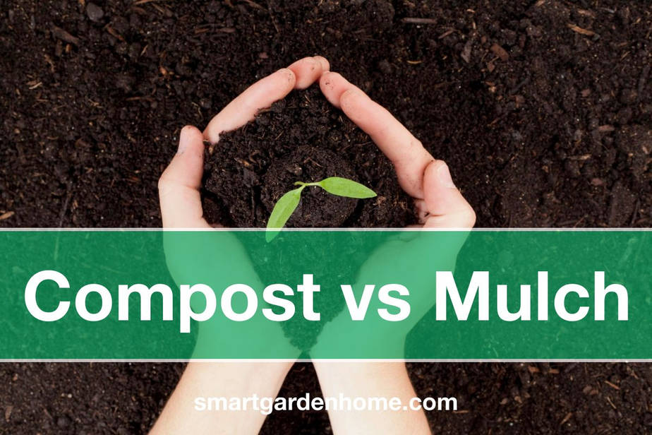 Compost Vs Mulch What's The Difference? Smart Garden And Home