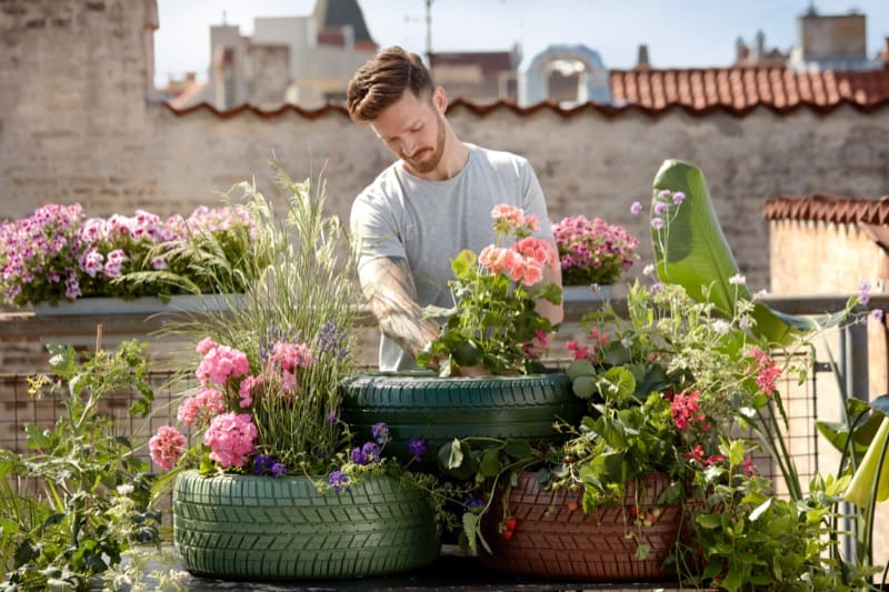 Creativity with Gardening