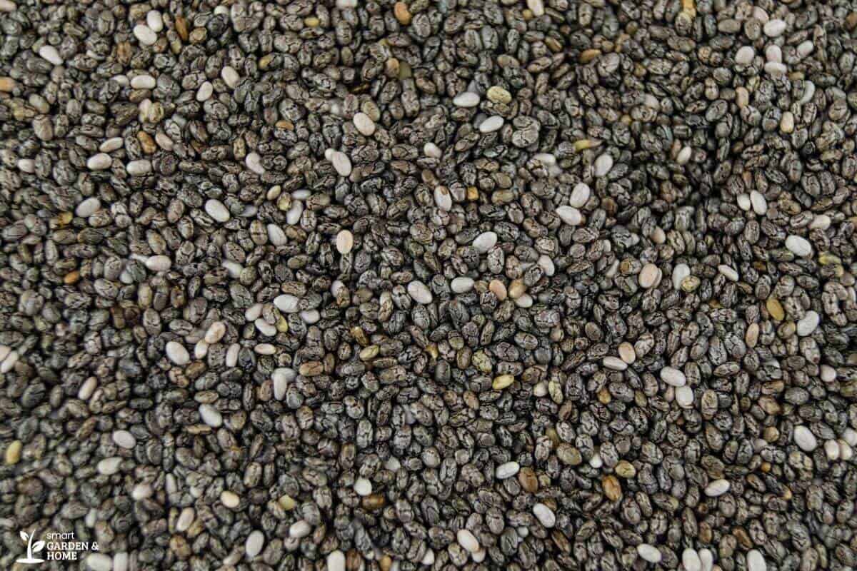 Dark Vermiculite