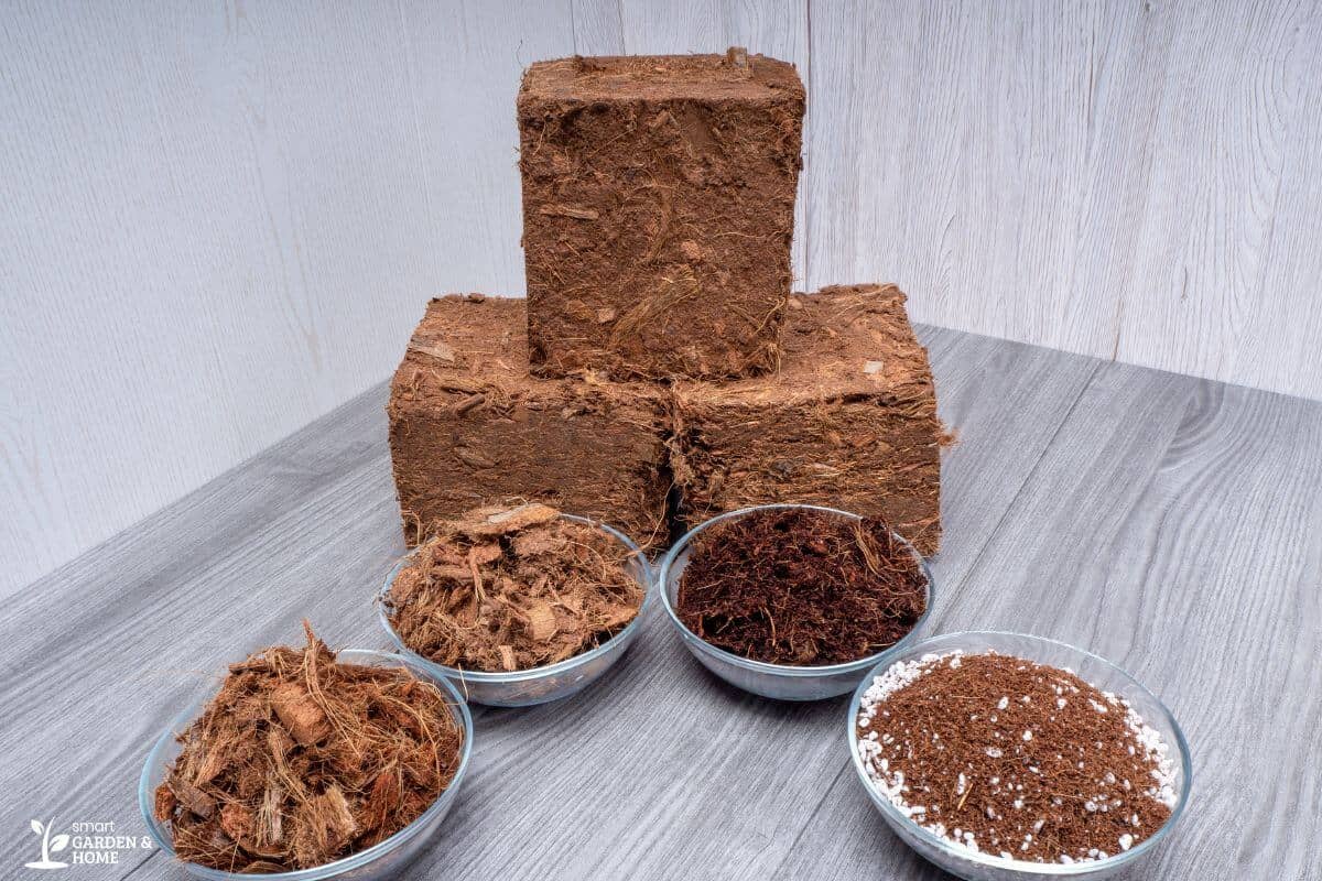 Four compressed coco coir blocks are stacked on a gray wooden table.