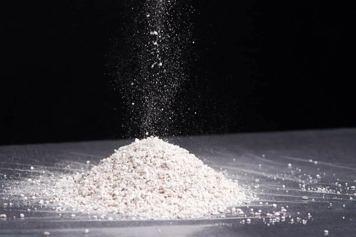 Disadvantages of Perlite as a Growing Medium