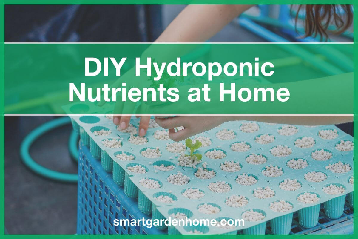 DIY Hydroponic Nutrients at Home