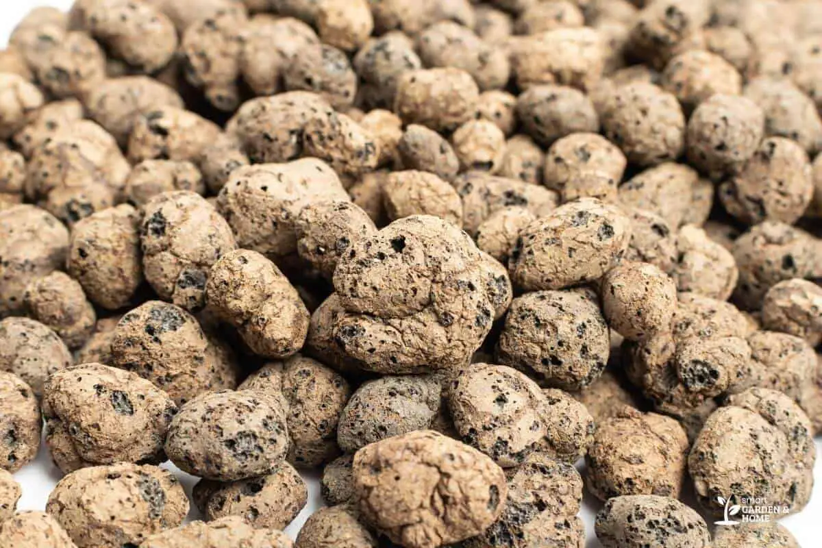 Dry Hydroponic Clay Pebbles