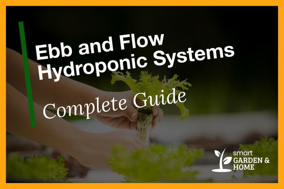 Ebb and Flow Systems Complete Guide