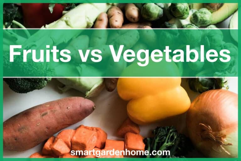 Fruits vs Vegetables - What's the Difference?