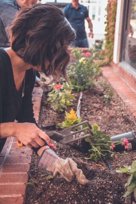 Gardening Community Involvement