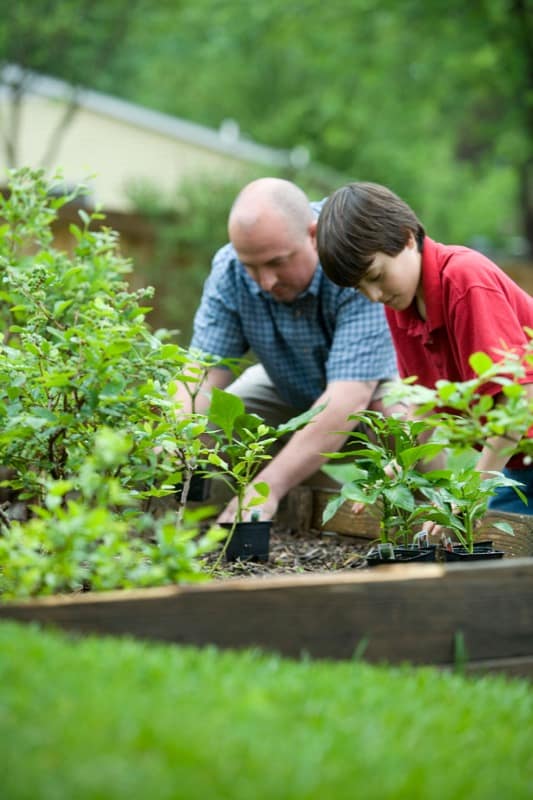 Gardening is an Activity for All Ages