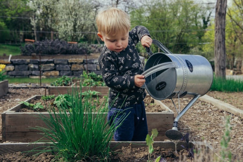Gardening is a Fun Activity with Kids