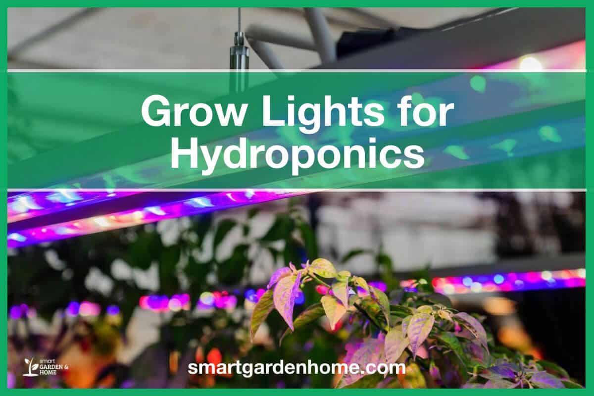 Best Grow Lights For Hydroponics And How To Choose The Right Ones ...