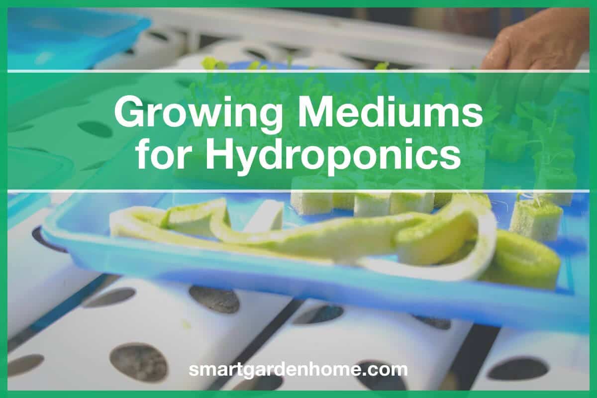 Best Growing Medium For Hydroponics - All Types - Smart Garden And Home