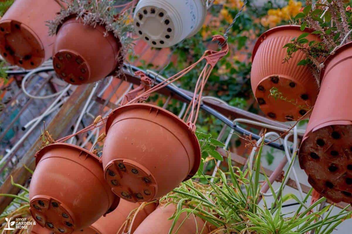 Hanging terracotta pots, some with spider plants and some empty, are suspended from wires.