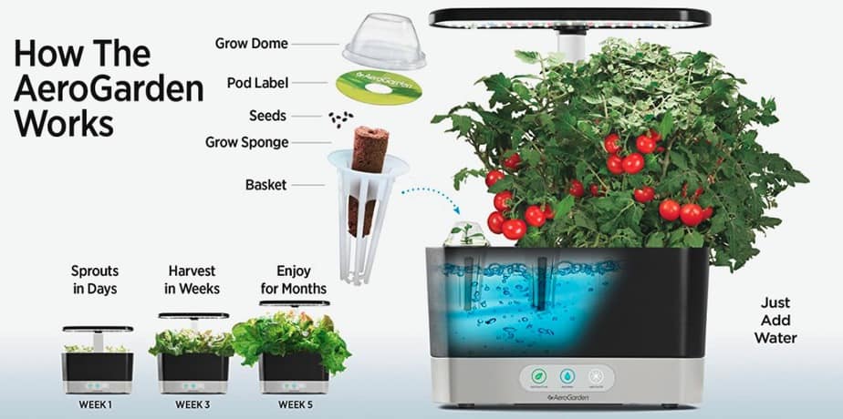 Best AeroGardens for Indoor Gardening in 2024 - Smart Garden and Home