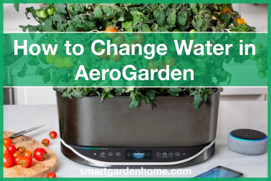 How to Change Water in AeroGarden