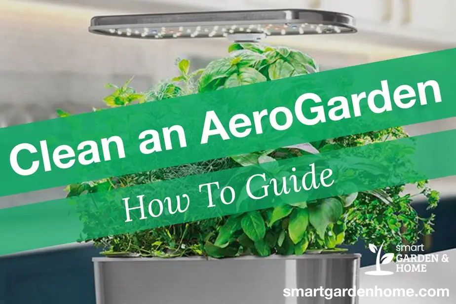 How to Clean an AeroGarden