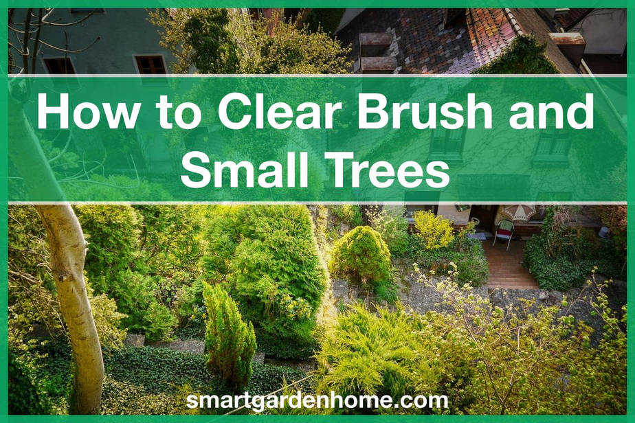 How To Clear Brush And Small Trees Smart Garden And Home