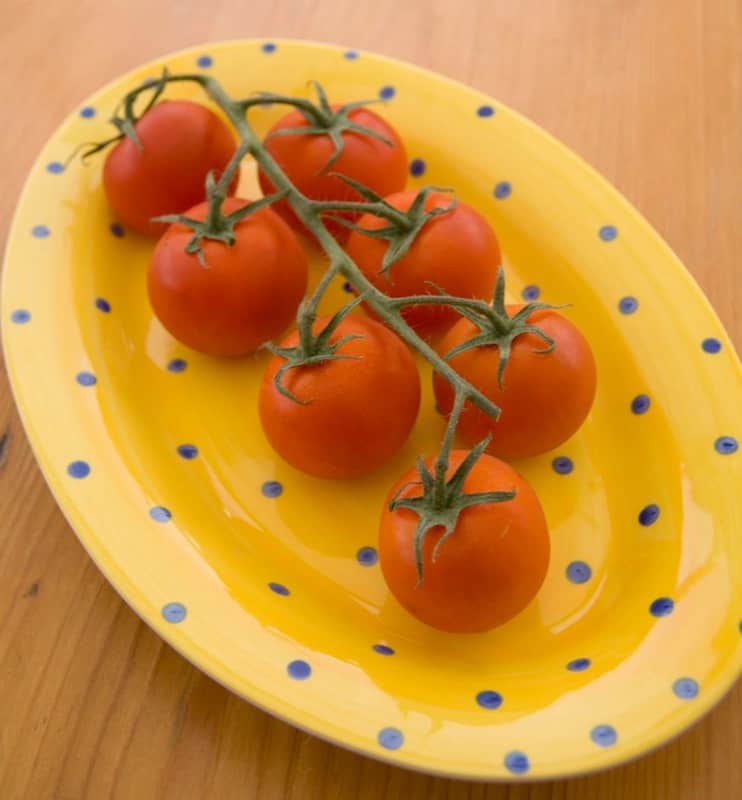 Grow Tomatoes Indoors