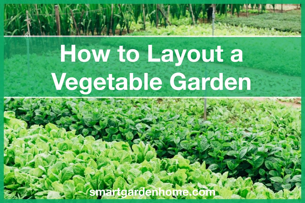 How to Layout Vegetable Garden