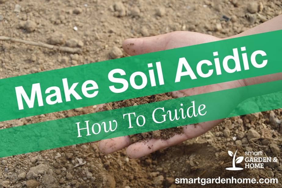 How To Treat High Acidic Soil