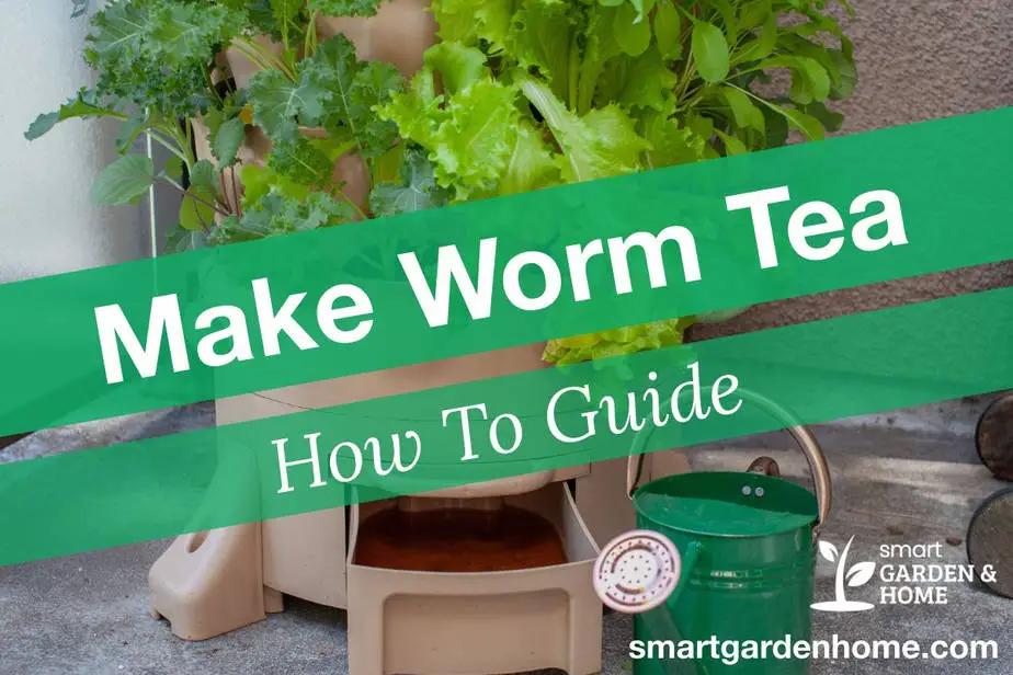 How to Make Worm Tea from Worm Castings