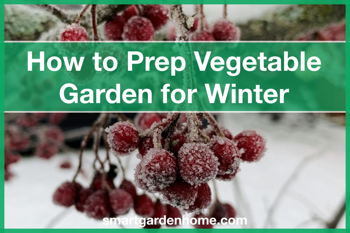 How to Prepare Vegetable Garden For Winter