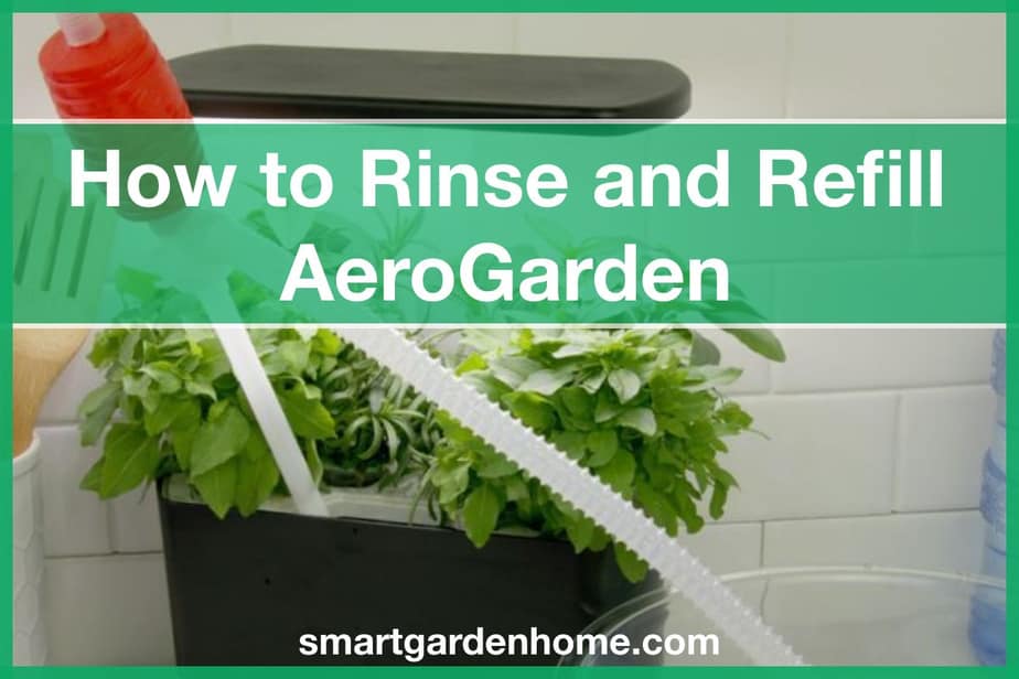 How to Rinse and Refill AeroGarden