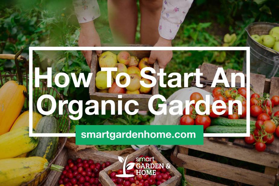 how-to-start-an-organic-garden-beginner-basics-smart-garden-and-home