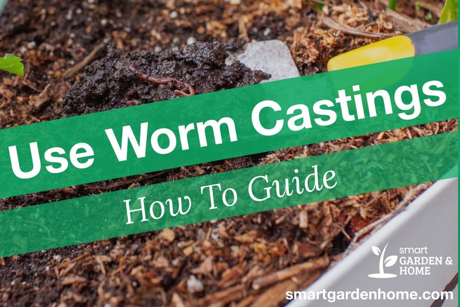 how-to-use-worm-castings-for-best-results-smart-garden-and-home