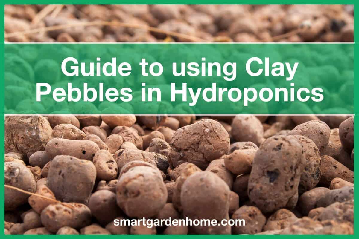 Hydroponic Clay Pebbles