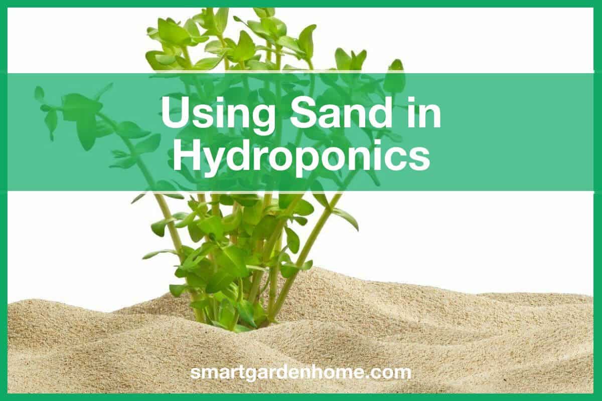 Hydroponic Sand