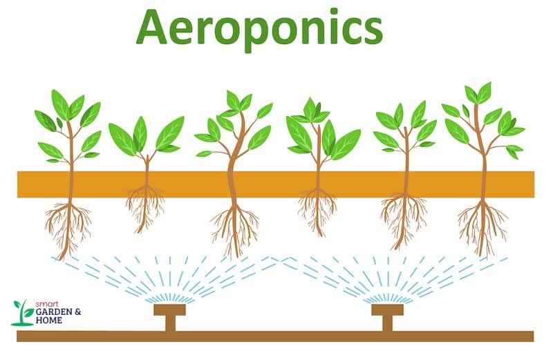 Aeroponics Hydroponic System