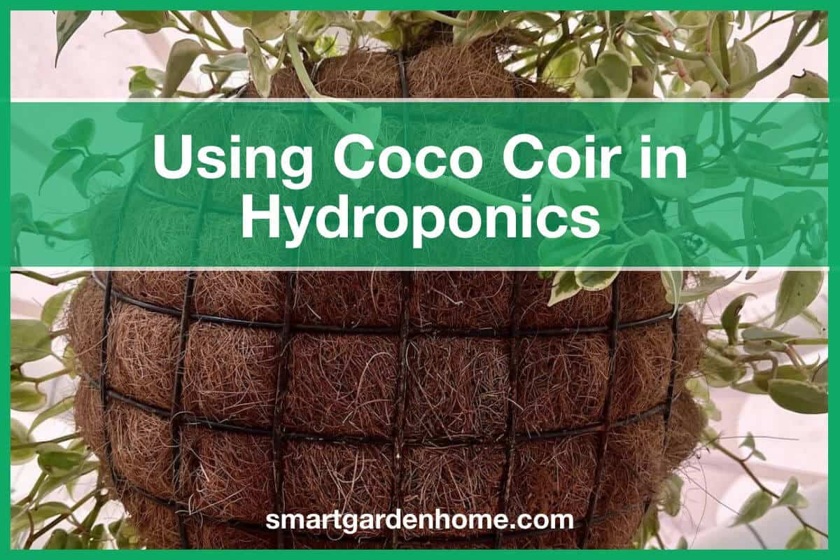 Guide For Using Coco Coir In Hydroponics Smart Garden And Home