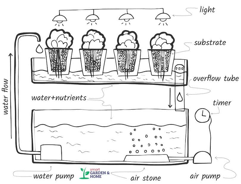 Hydroponic Ebb and Flow System