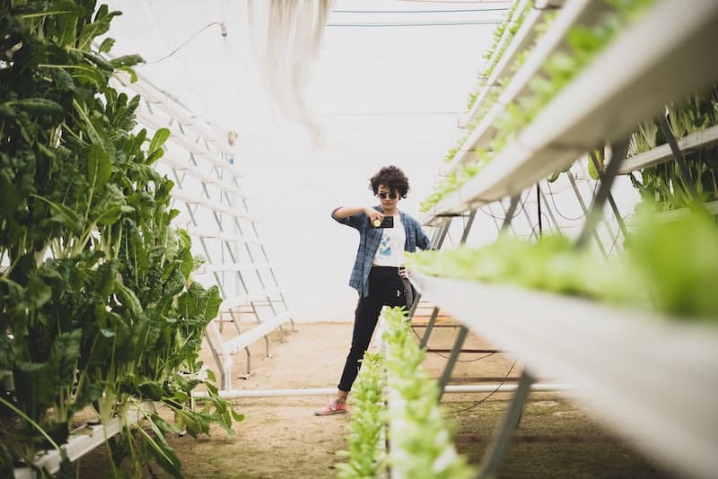 Hydroponics Gardening System