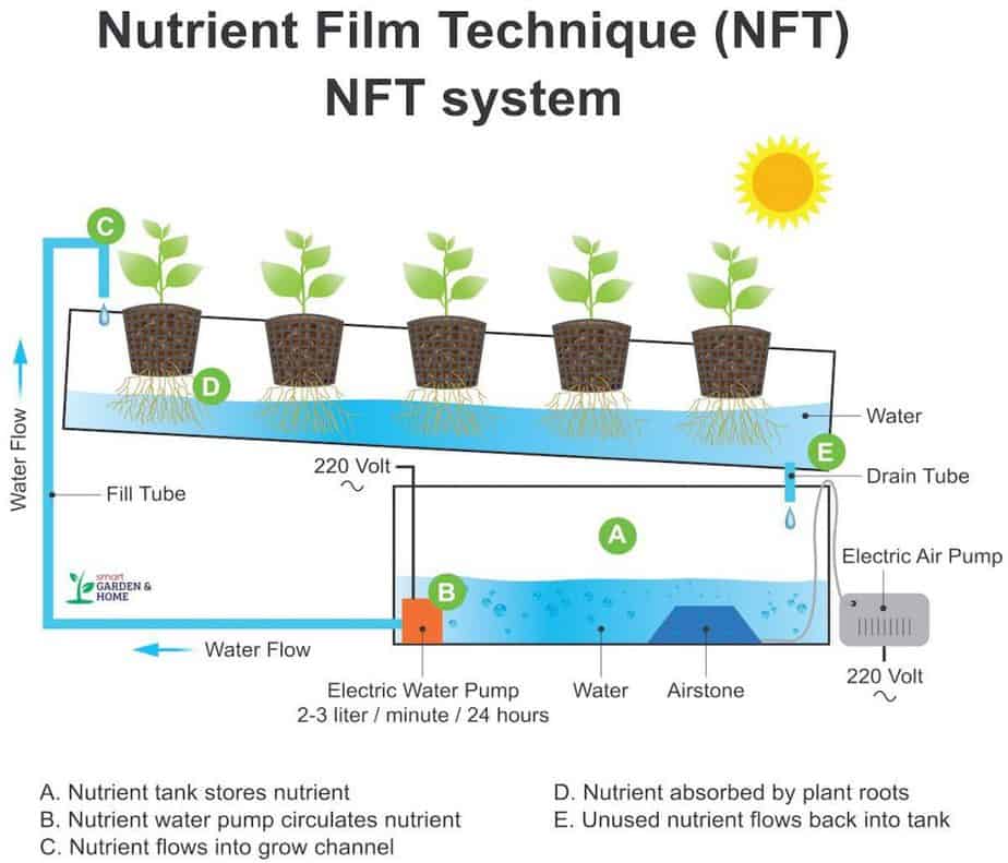 Hydroponic NFT Nutrient Film Technique System