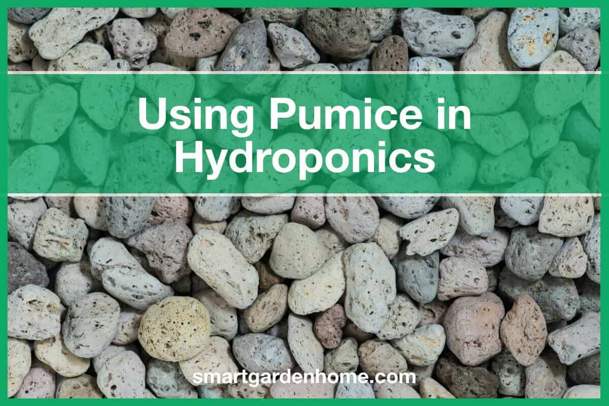 Hydroponic Pumice