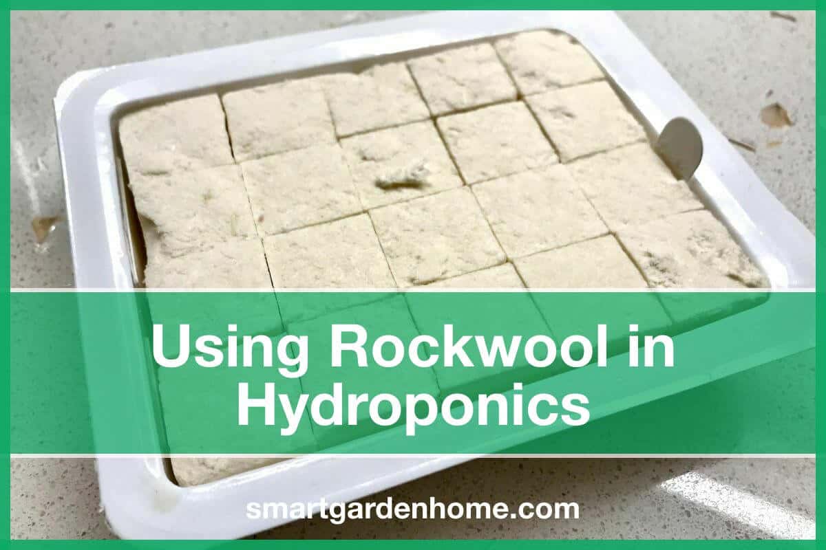 Hydroponics Rockwool